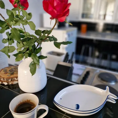 公寓 Deki & Kolet 贝尔格莱德