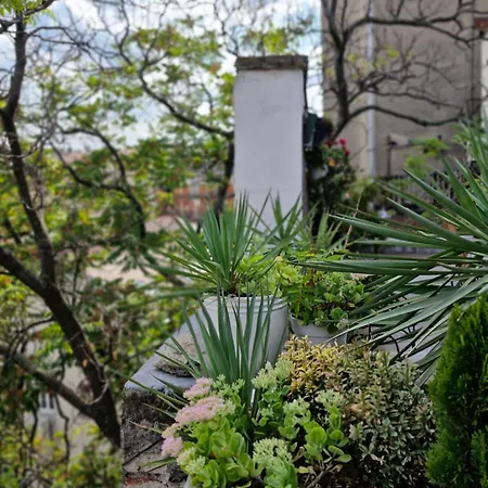 Deki & Kolet Белград